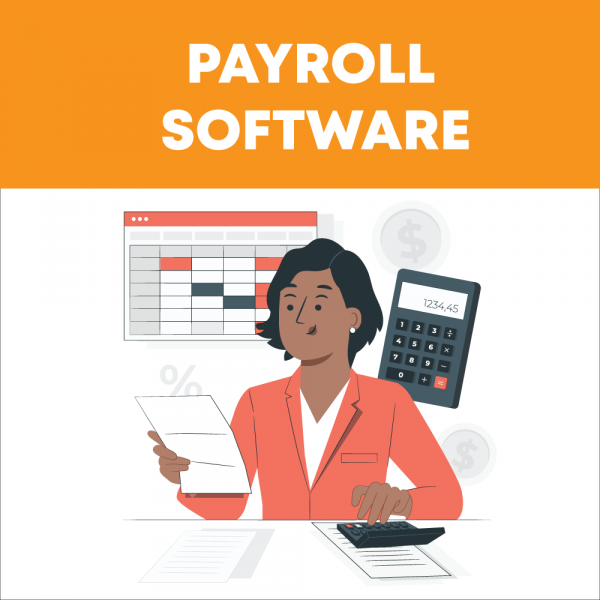 Payroll Computer Software Payroll Software (>300 employees) per year – iForte Digital